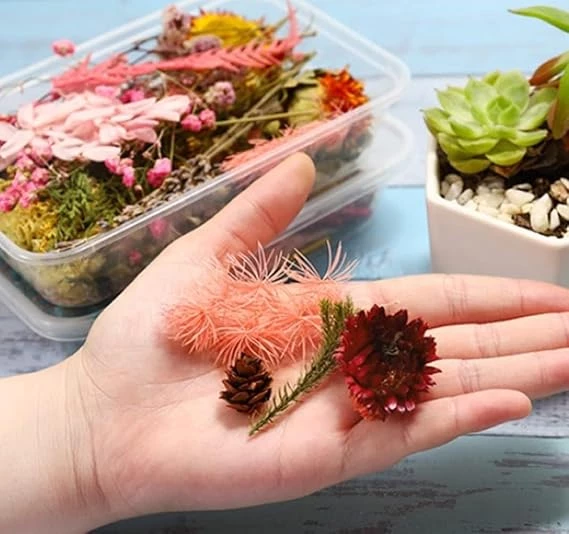 Craft Materials
